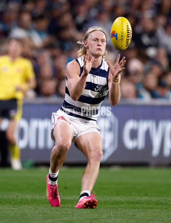 AFL 2024 Second Qualifying Final - Port Adelaide v Geelong - A-53699010