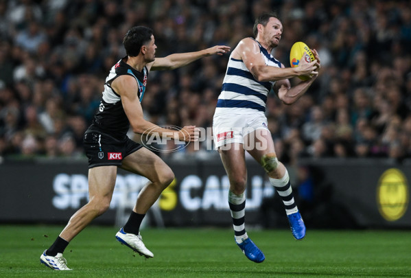 AFL 2024 Second Qualifying Final - Port Adelaide v Geelong - A-53699025