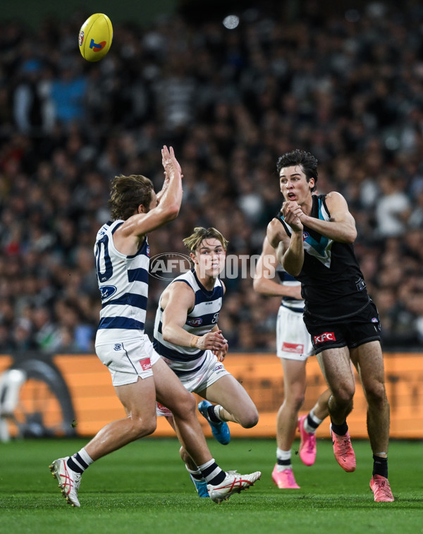 AFL 2024 Second Qualifying Final - Port Adelaide v Geelong - A-53699028