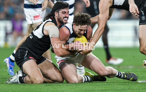 AFL 2024 Second Qualifying Final - Port Adelaide v Geelong - A-53699029