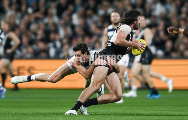 AFL 2024 Second Qualifying Final - Port Adelaide v Geelong - A-53699801