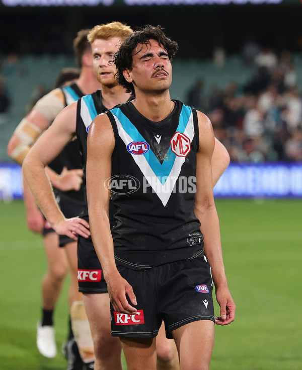 AFL 2024 Second Qualifying Final - Port Adelaide v Geelong - A-53699824