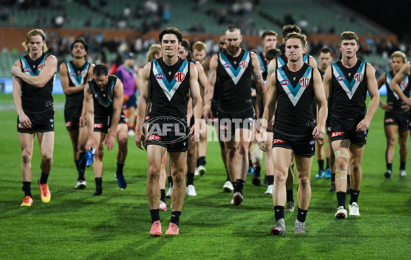 AFL 2024 Second Qualifying Final - Port Adelaide v Geelong - A-53699841