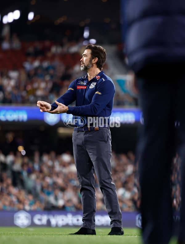 AFL 2024 Second Qualifying Final - Port Adelaide v Geelong - A-53701686