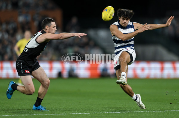 AFL 2024 Second Qualifying Final - Port Adelaide v Geelong - A-53702302