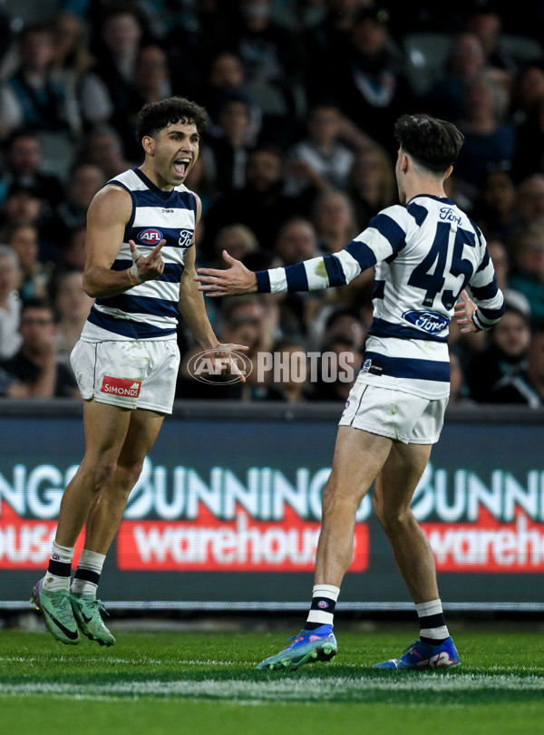 AFL 2024 Second Qualifying Final - Port Adelaide v Geelong - A-53703863