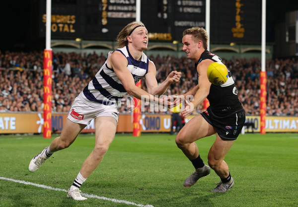 AFL 2024 Second Qualifying Final - Port Adelaide v Geelong - A-53704940