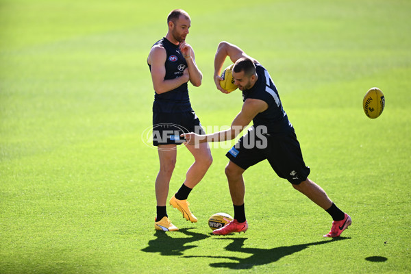 AFL 2024 Training - Carlton 060924 - A-53708321