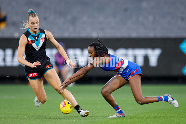 AFLW 2024 Round 02 - Western Bulldogs v Port Adelaide - A-53711738