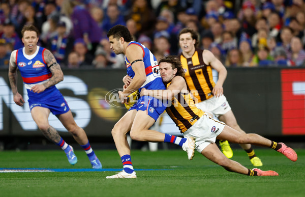 AFL 2024 Second Elimination Final - Western Bulldogs v Hawthorn - A-53715405