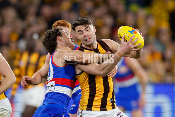 AFL 2024 Second Elimination Final - Western Bulldogs v Hawthorn - A-53715426