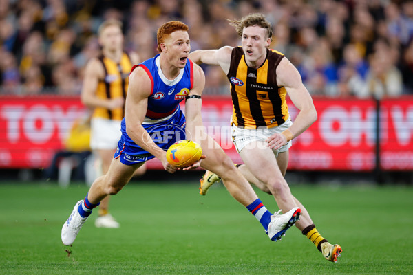 AFL 2024 Second Elimination Final - Western Bulldogs v Hawthorn - A-53715429