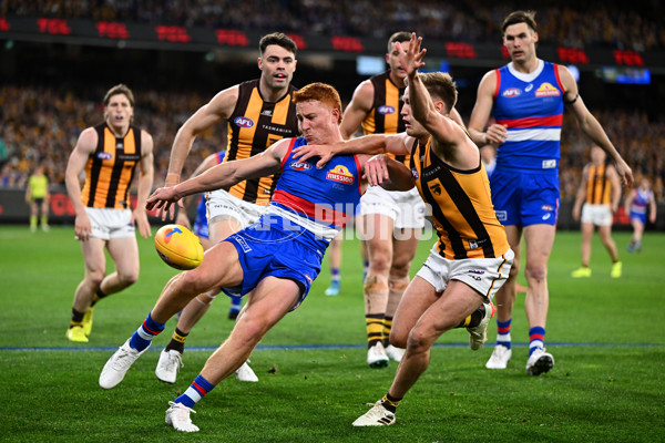 AFL 2024 Second Elimination Final - Western Bulldogs v Hawthorn - A-53717076