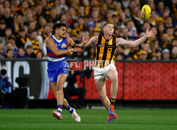 AFL 2024 Second Elimination Final - Western Bulldogs v Hawthorn - A-53717085