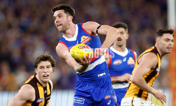 AFL 2024 Second Elimination Final - Western Bulldogs v Hawthorn - A-53717105