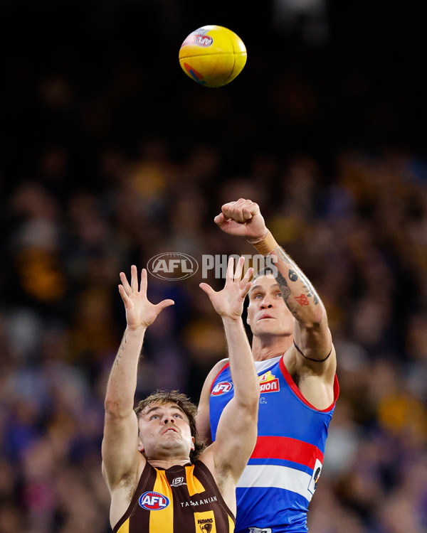 AFL 2024 Second Elimination Final - Western Bulldogs v Hawthorn - A-53717113