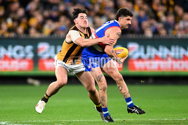 AFL 2024 Second Elimination Final - Western Bulldogs v Hawthorn - A-53717126