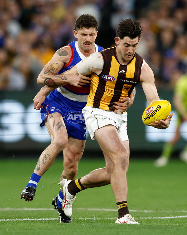 AFL 2024 Second Elimination Final - Western Bulldogs v Hawthorn - A-53717142