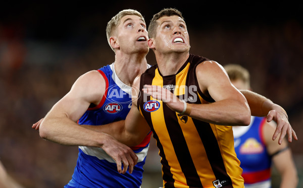 AFL 2024 Second Elimination Final - Western Bulldogs v Hawthorn - A-53717150