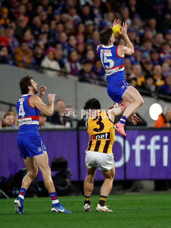 AFL 2024 Second Elimination Final - Western Bulldogs v Hawthorn - A-53718169