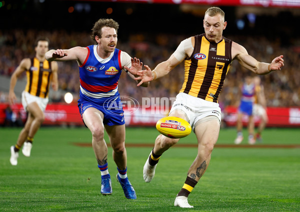 AFL 2024 Second Elimination Final - Western Bulldogs v Hawthorn - A-53718221