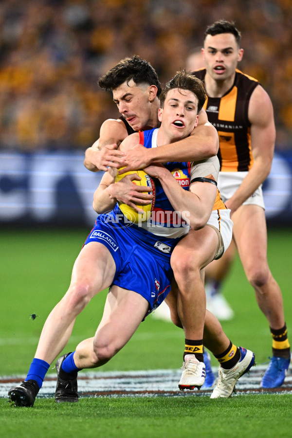 AFL 2024 Second Elimination Final - Western Bulldogs v Hawthorn - A-53718235