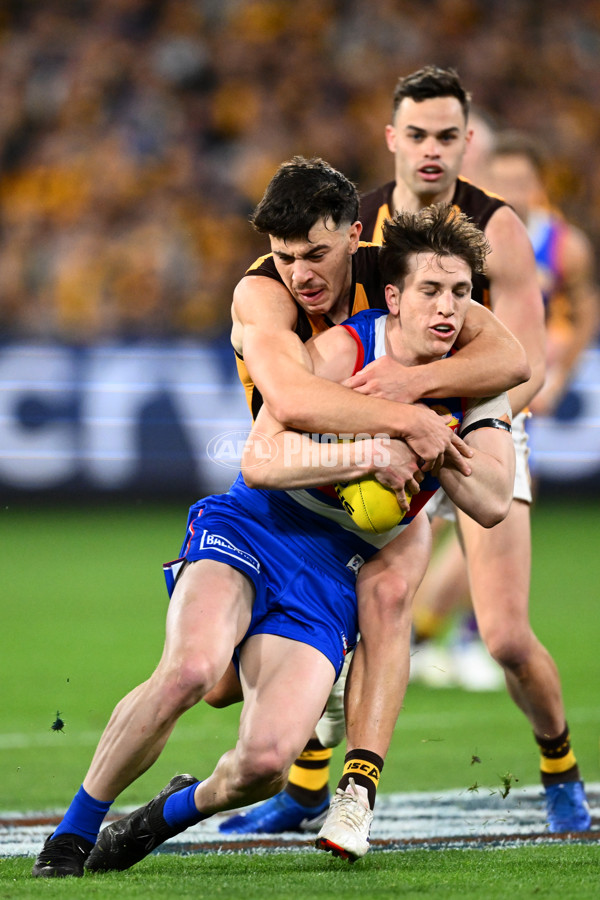 AFL 2024 Second Elimination Final - Western Bulldogs v Hawthorn - A-53718236