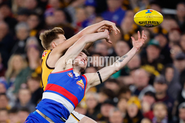 AFL 2024 Second Elimination Final - Western Bulldogs v Hawthorn - A-53718242