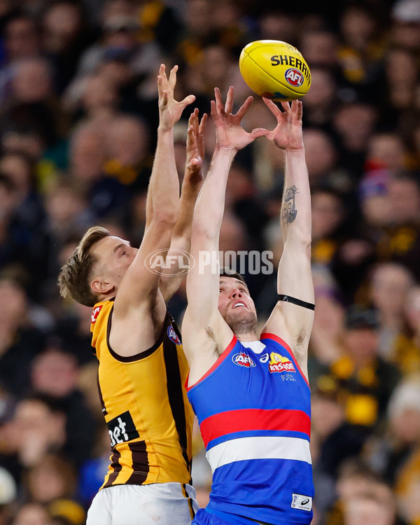 AFL 2024 Second Elimination Final - Western Bulldogs v Hawthorn - A-53718244