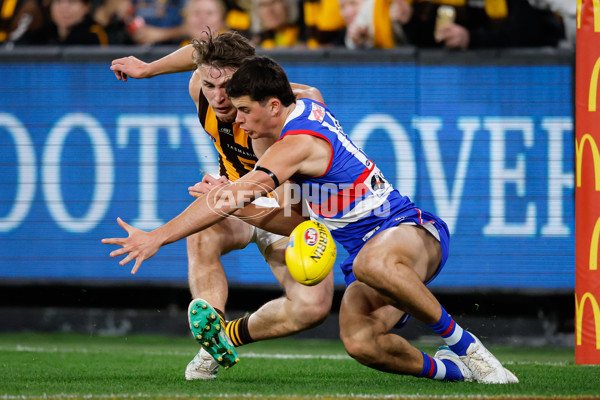 AFL 2024 Second Elimination Final - Western Bulldogs v Hawthorn - A-53718250