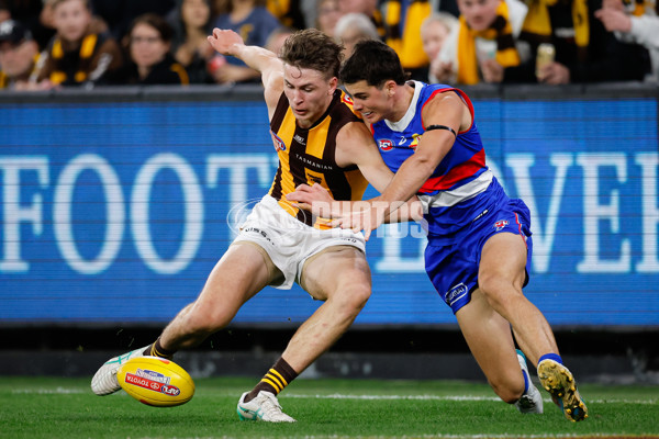 AFL 2024 Second Elimination Final - Western Bulldogs v Hawthorn - A-53718253