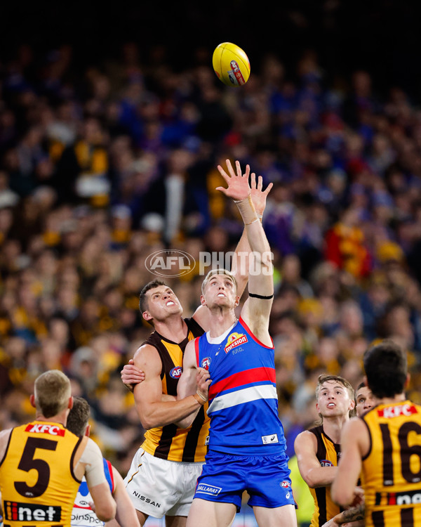 AFL 2024 Second Elimination Final - Western Bulldogs v Hawthorn - A-53718254