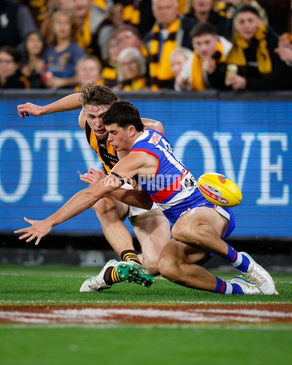 AFL 2024 Second Elimination Final - Western Bulldogs v Hawthorn - A-53718256