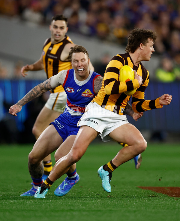 AFL 2024 Second Elimination Final - Western Bulldogs v Hawthorn - A-53719883