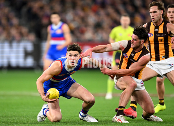 AFL 2024 Second Elimination Final - Western Bulldogs v Hawthorn - A-53719904