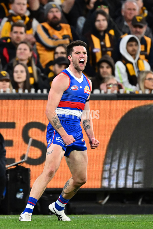 AFL 2024 Second Elimination Final - Western Bulldogs v Hawthorn - A-53719924