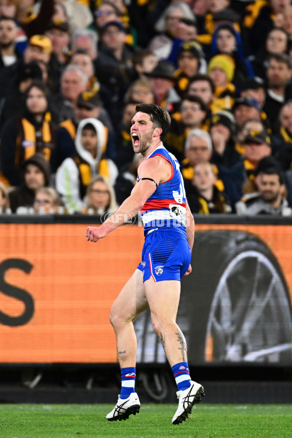 AFL 2024 Second Elimination Final - Western Bulldogs v Hawthorn - A-53719925