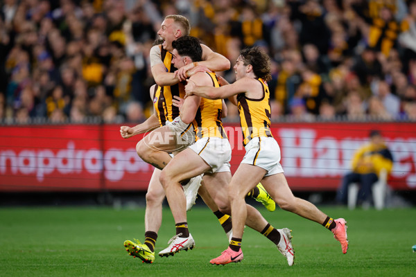 AFL 2024 Second Elimination Final - Western Bulldogs v Hawthorn - A-53719966