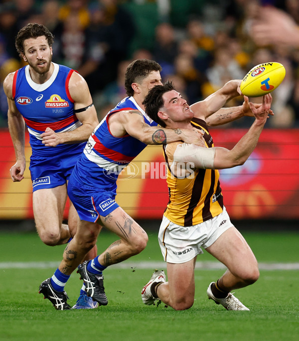 AFL 2024 Second Elimination Final - Western Bulldogs v Hawthorn - A-53719979