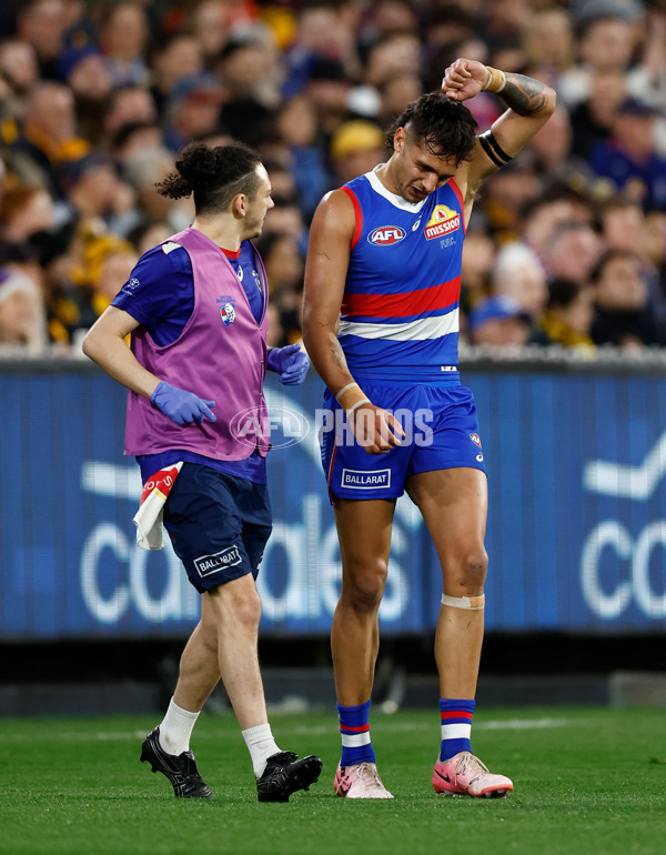 AFL 2024 Second Elimination Final - Western Bulldogs v Hawthorn - A-53720495