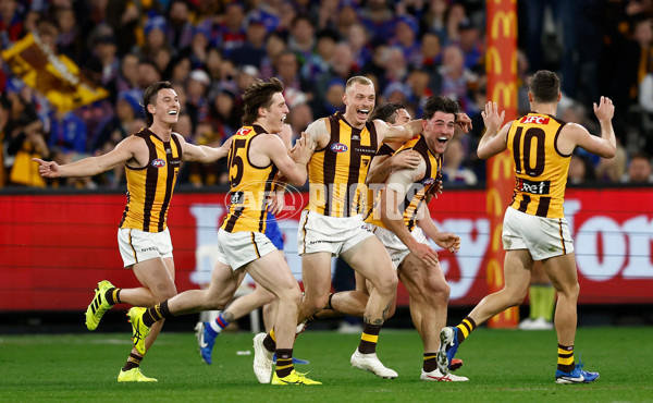 AFL 2024 Second Elimination Final - Western Bulldogs v Hawthorn - A-53720507