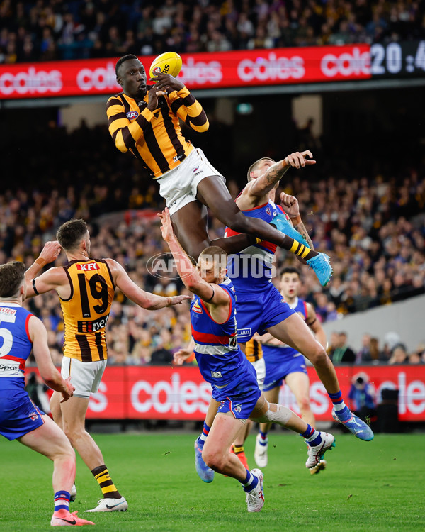 AFL 2024 Second Elimination Final - Western Bulldogs v Hawthorn - A-53720510