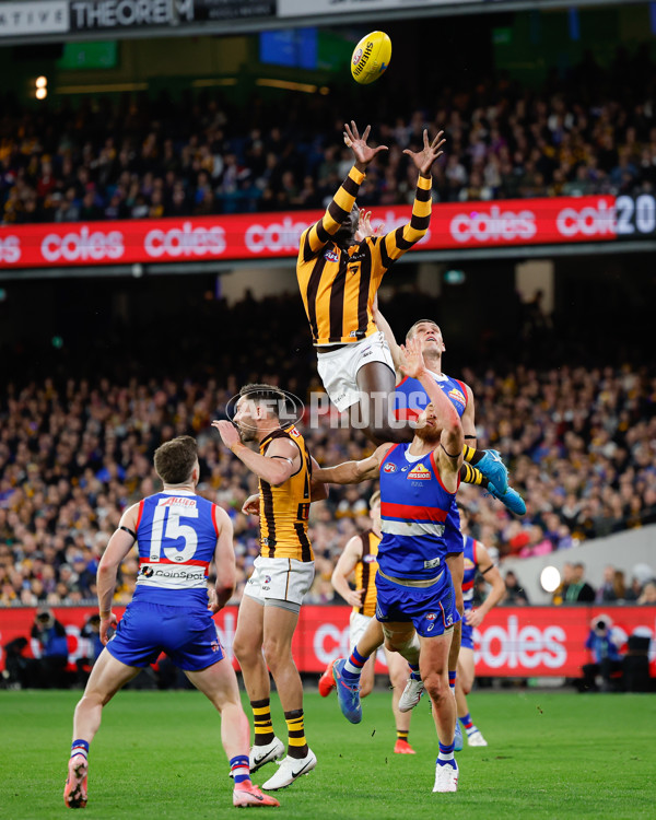 AFL 2024 Second Elimination Final - Western Bulldogs v Hawthorn - A-53720513