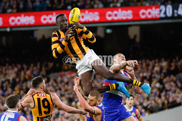 AFL 2024 Second Elimination Final - Western Bulldogs v Hawthorn - A-53720514