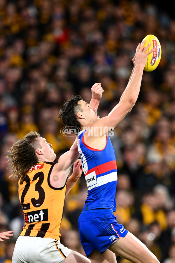 AFL 2024 Second Elimination Final - Western Bulldogs v Hawthorn - A-53720537