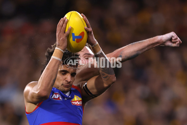 AFL 2024 Second Elimination Final - Western Bulldogs v Hawthorn - A-53720548