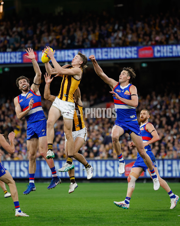 AFL 2024 Second Elimination Final - Western Bulldogs v Hawthorn - A-53720550