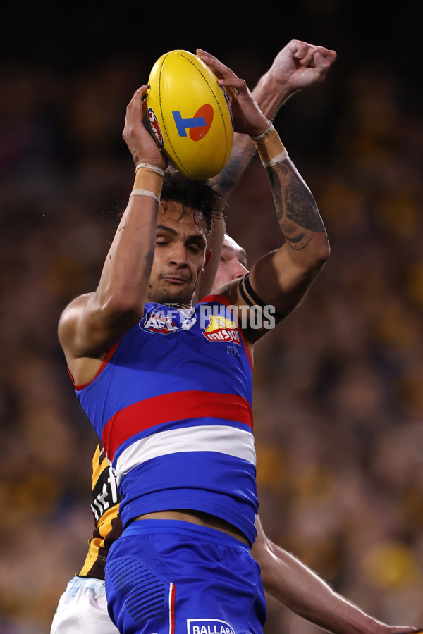 AFL 2024 Second Elimination Final - Western Bulldogs v Hawthorn - A-53720552