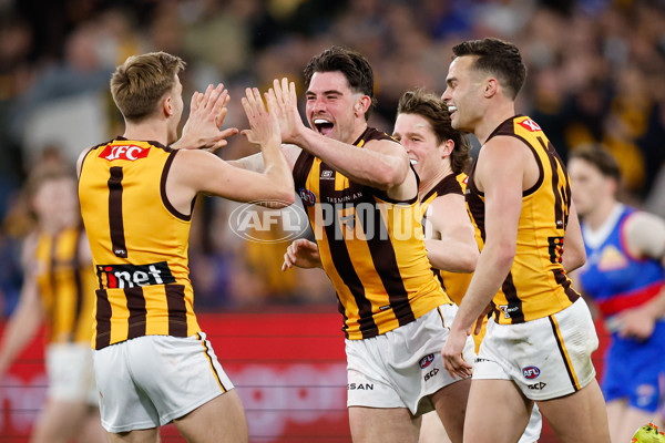 AFL 2024 Second Elimination Final - Western Bulldogs v Hawthorn - A-53720556