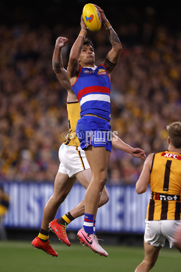 AFL 2024 Second Elimination Final - Western Bulldogs v Hawthorn - A-53720568